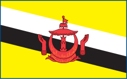 Brunei flag