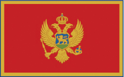 Montenegro flag