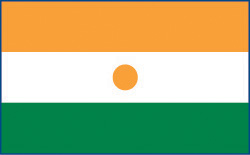 Niger flag