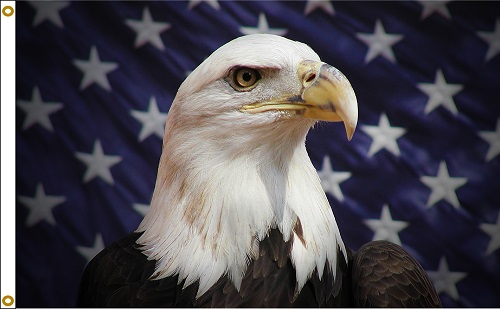 star field eagle flag