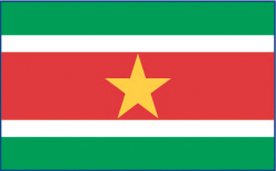 Suriname flag