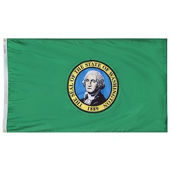 Washington state flag