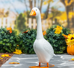 Giddy the Goose