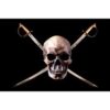 PIRATE