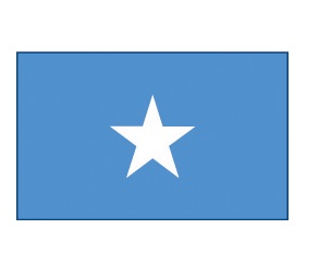 martinsflag