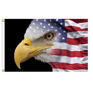 USFLAGEAGLE